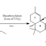 Decarbing Cannabis Oil: THCA to THC