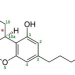 THC isomers and reactions products, CBN, Delta 8, 9 and 10, HHC