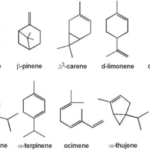 Tips For Successful Cannabis Terpene Distillation